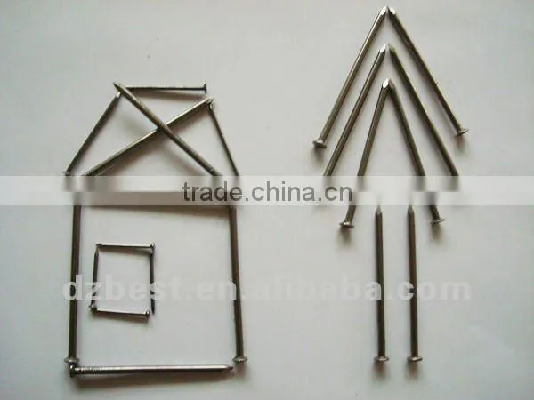 polished common iron nail