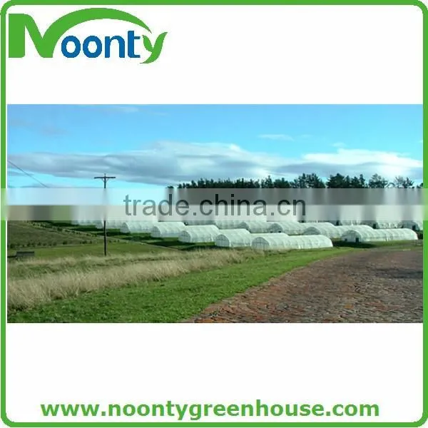 Economical Tunnel Greenhouse