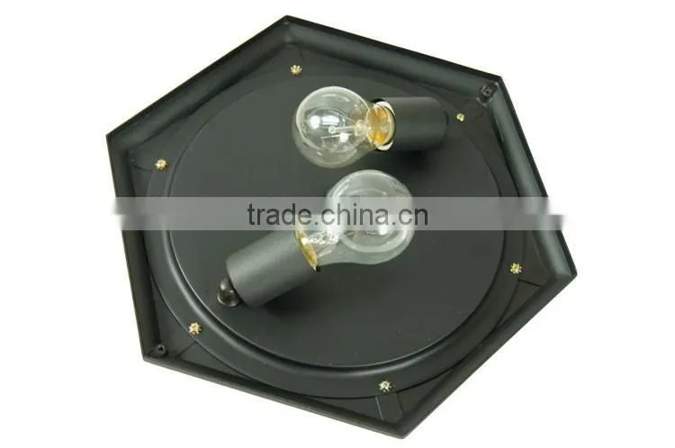 2015 Ceiling is special pendant lighting (5615)