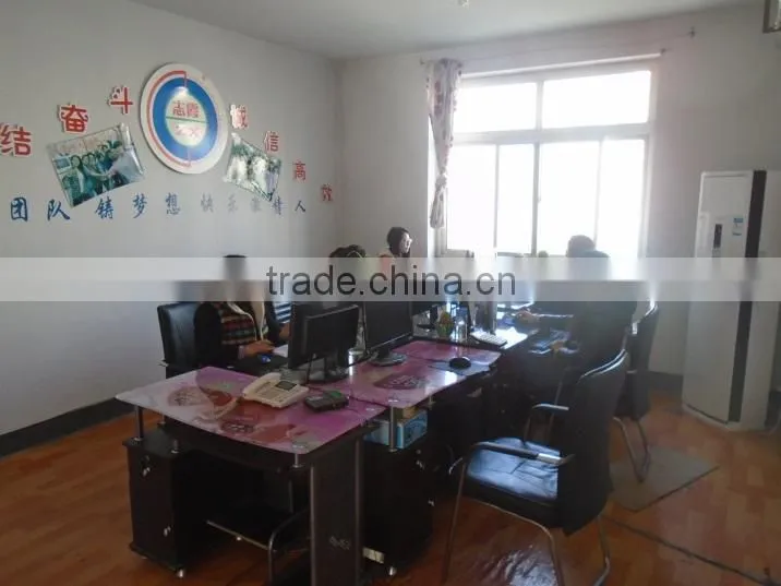 Xingtai Zhixia Auto Parts Co., Ltd. company overview - view 3