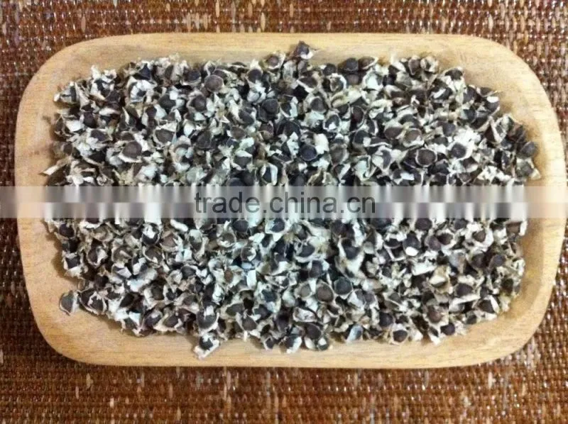 MORINGA SEEDS FOR MORINGA OIL