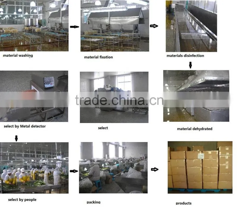 Top selling in China Market Dehydrated Potato Granules