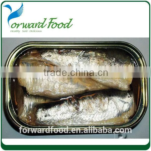 canned sardine in oil sardine fish canned