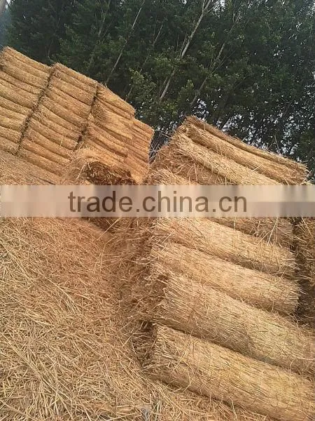 wheat traw kintting machine//0086-15838061756