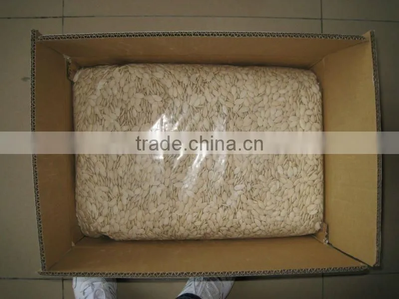 hgh quality roasted and saltd pumpkin seeds 11cm,12cm,13cm