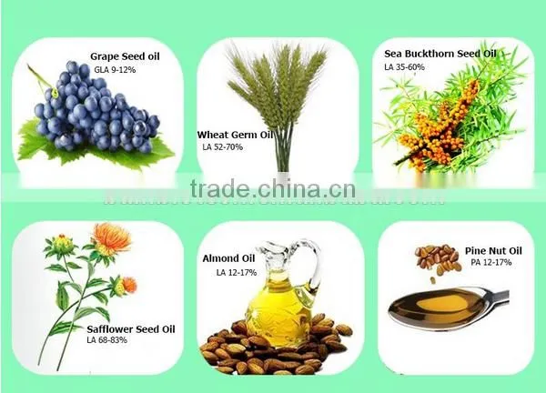Manufacture high quality Pumpkin Seed Oil lower blood lipid