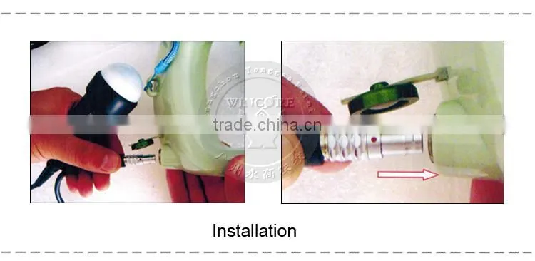 Waterproof ultrasound scanner for veterinary ultrasonography B ultrasound