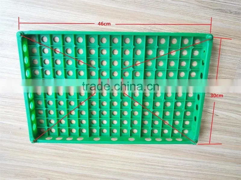 China best selling plastic egg crate tray for quail eggs delivery