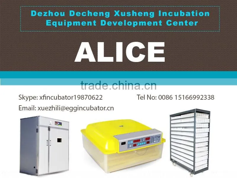 Commercial hatchery machine for sale
