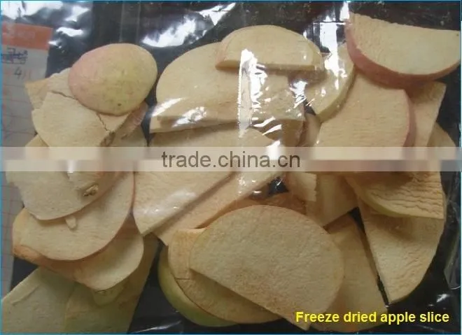 TPV-10G Top-press Vacuum Freeze Dryer with PID Controller and Touching Screen