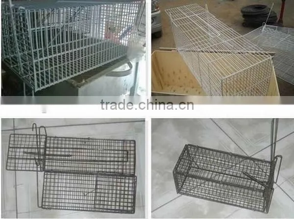 mouse trap(manufacturer)