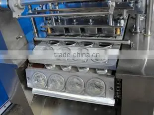 Automatic Juice Cup Filling Machine