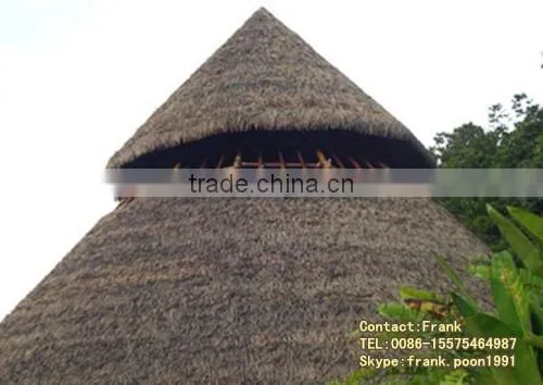 Thatched Cottage wooden house