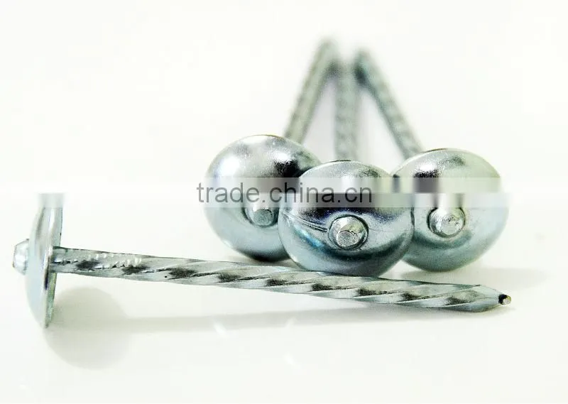 umbrella roofing nails for south africa