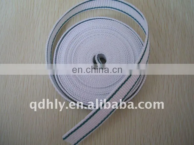 High tenacity PP webbing with colorful line