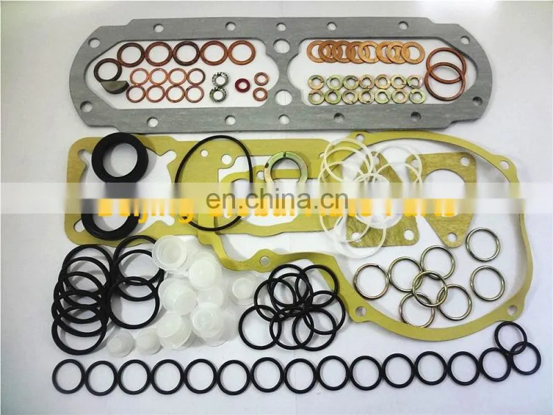 Fuel Injector Pump repair kit 800620