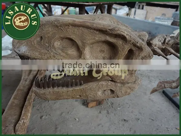 Lisaurus-R Dinosaur artificial skull