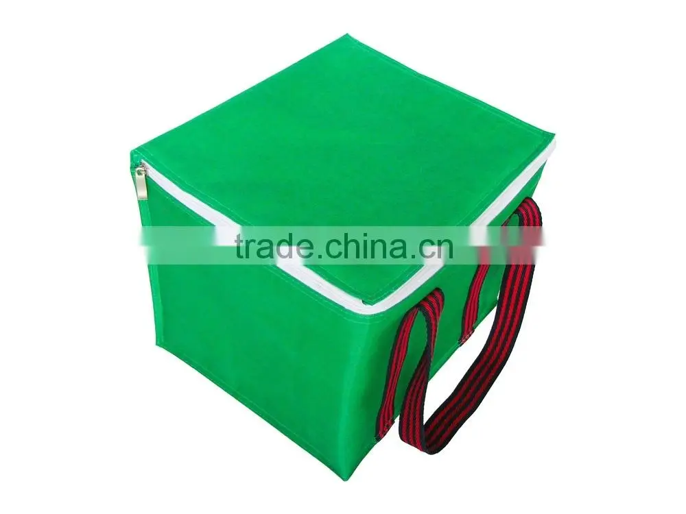 Cooler Bag