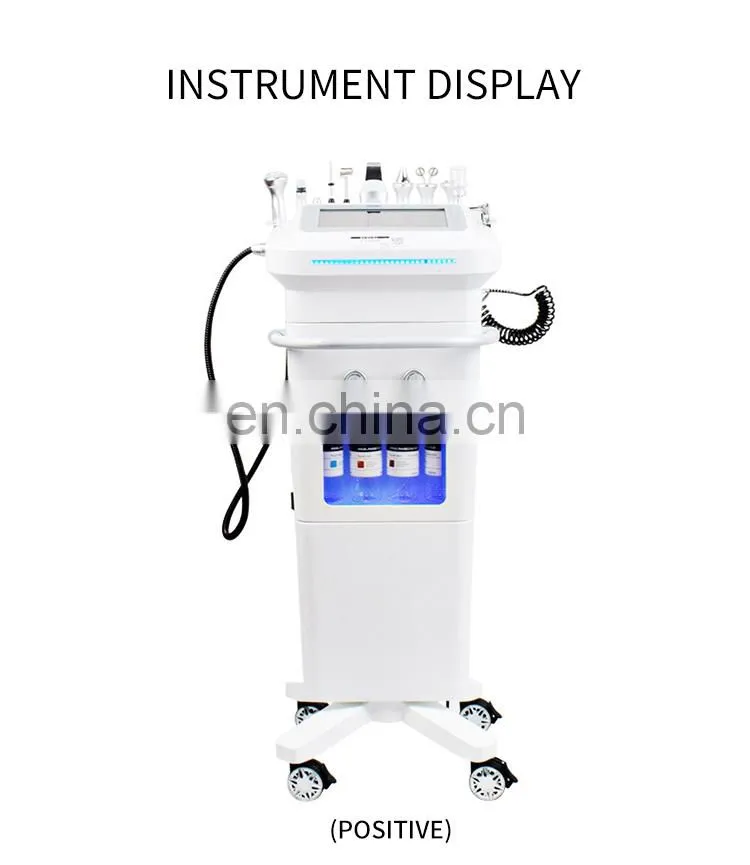 10 IN 1 Comprehensive Facial Massager Beauty Instrument Ion Bubble Cleansing Oxygen Hydration Rejuvenation Skin Care Machine