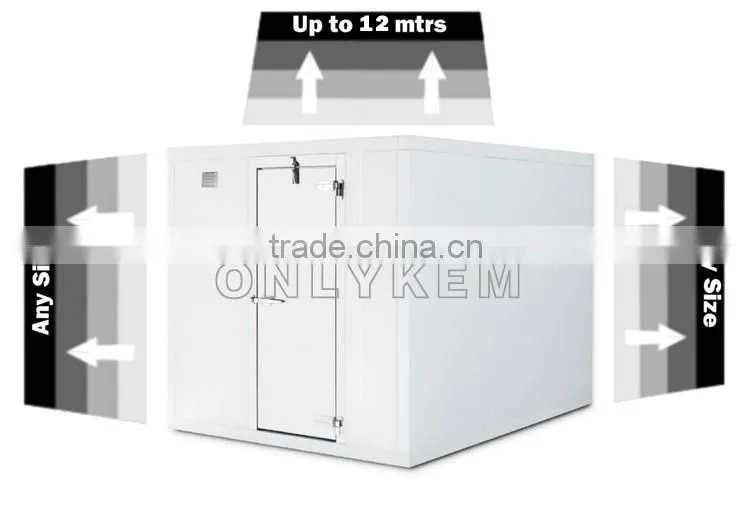 commercial R404A modified atmosphere cold storage for fruit