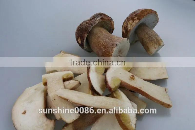 High Quality High Quality Dried Boletus Mushroom in Yunnan