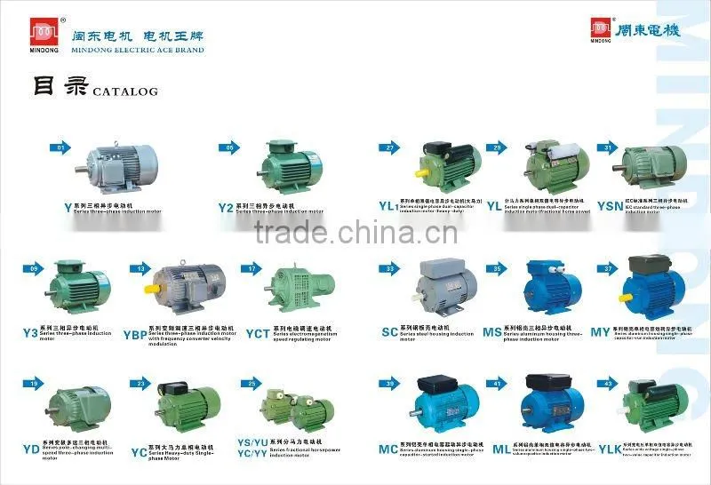 Single phase asynchronous motor
