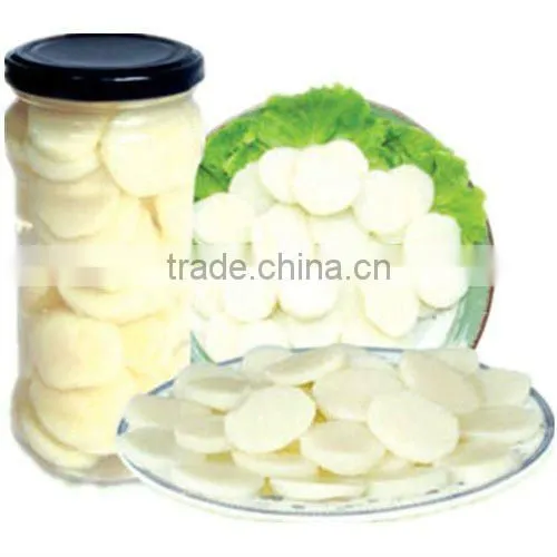 Canned water chestnut whole