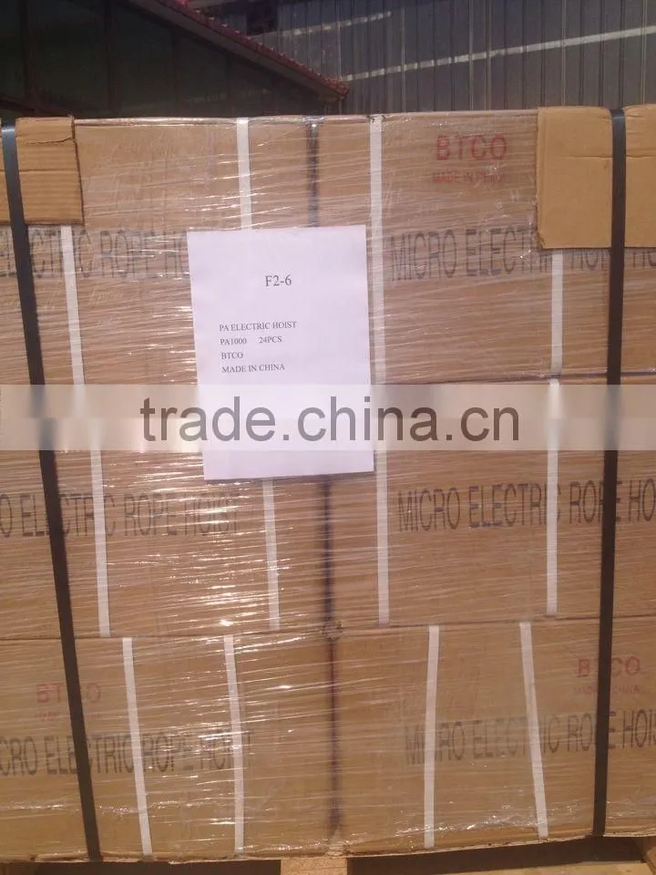 electric hoist crane 250kg