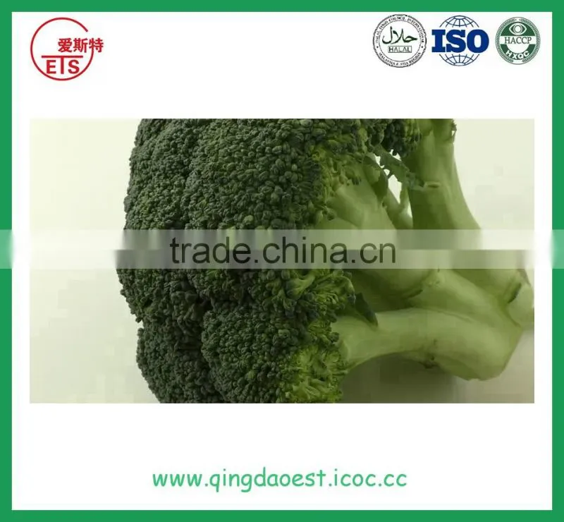 High quality Chinese Fresh Broccoli