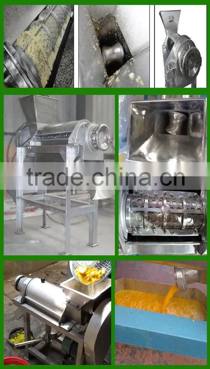 Commercial Juicer Machines Restaurant