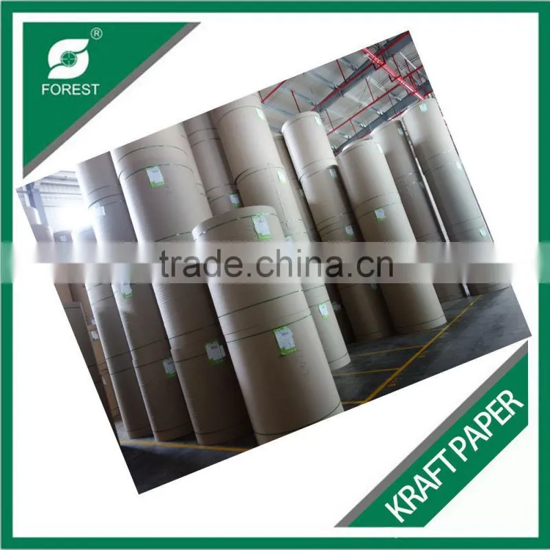 FOOD GRADE COATED KRAFT PAPER 250-350GSM