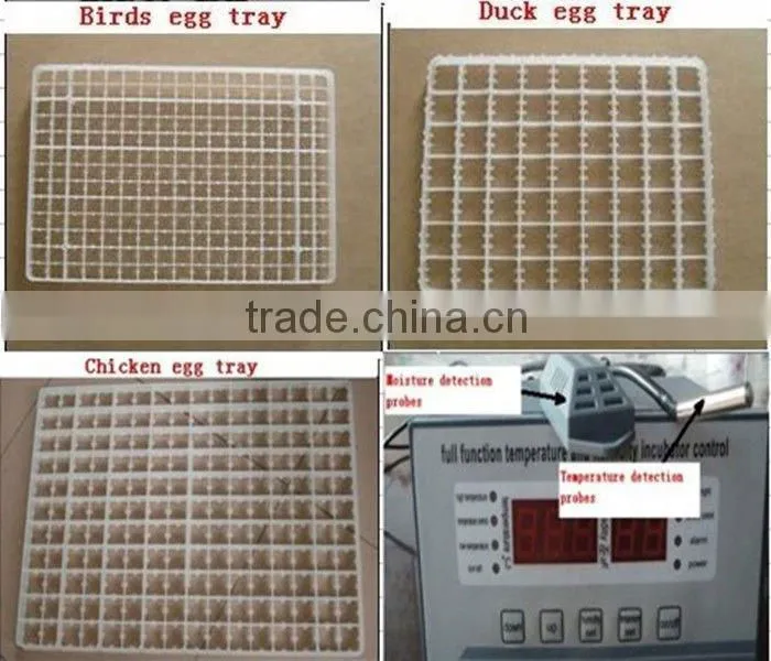agriculture machinery ostrich egg hatcher digital machine