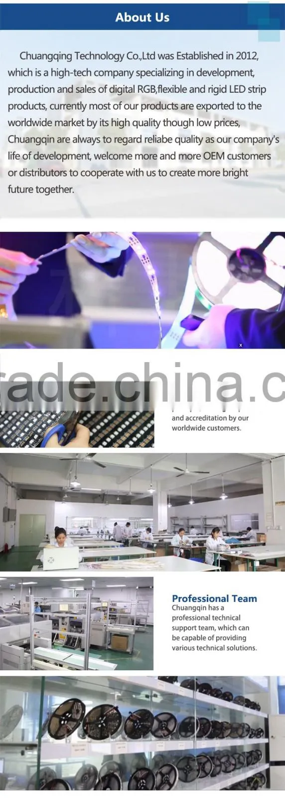 Swimming Pool Led strip light,Tape Style Pixel Led Strip IC WS2811