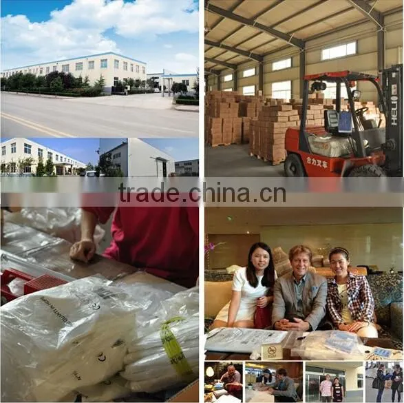 2015 Factory Promotion Price PE gloves for light duty tasks