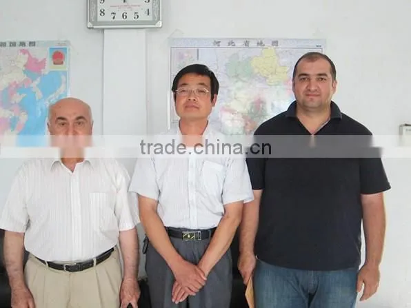 Automatic Welded Wire Mesh Machine For PVC Coated Wire Mesh ISO9001&CE Factory