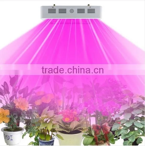 Ebay Hot Greenhouse 900W Led Grow Full Spectrum Light