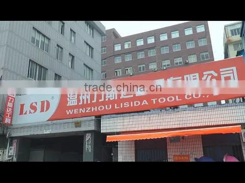 Wenzhou Lisida Tools Co., Ltd. company overview - view 1