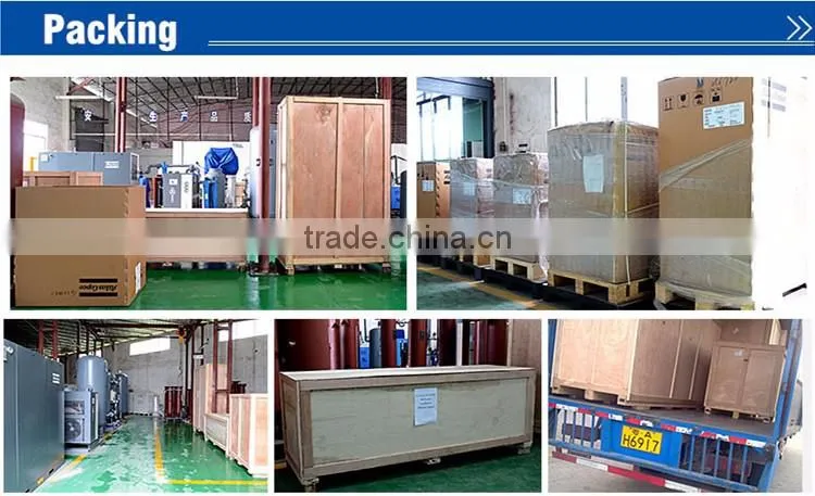 Professional Supplier for Oxygen Generator