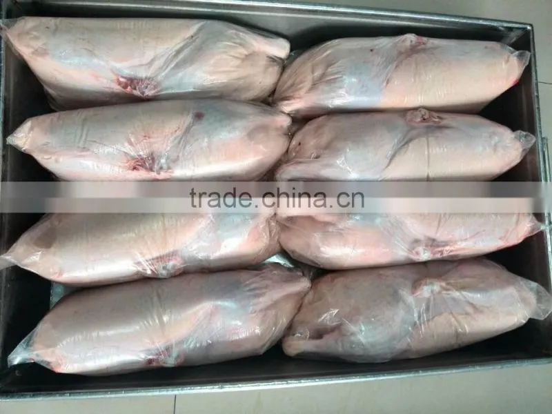 Best quality Wholesale fresh frozen poultry