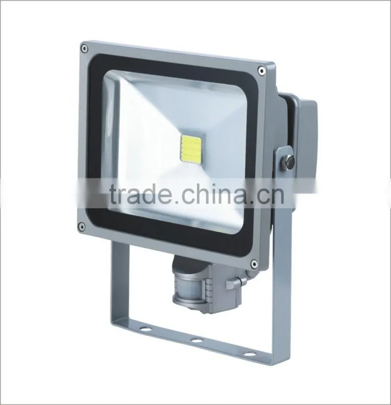 110-240V ip 65 waterproof CE ROHS ge evolve led floodlight