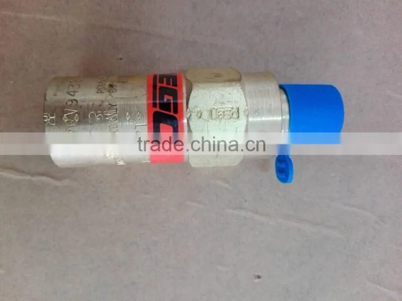 Industrial Standard Rego Cryogenic Safety Valve