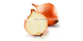 Egyptian Onion