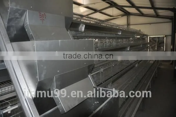 High quality galvanised steel wire layer chicken cage for sale