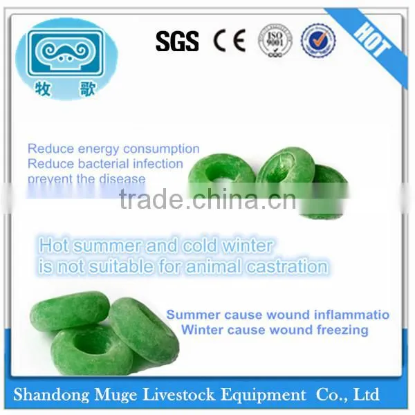 Castration Tool with Competitive Price