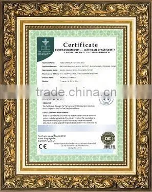 BM Series Hydraulic Motor with CE,BV Certificate