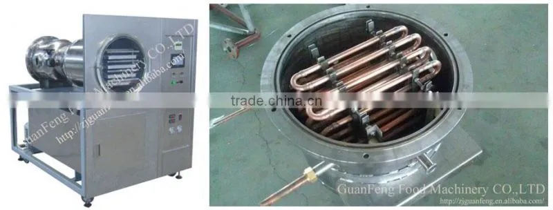 Quality Warranted Food Processing Machinery Fruit Lab Vacuum Freeze Dryer