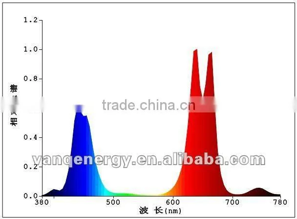 Farm led grow light,growing with led grow lights,full spectrum led 300w