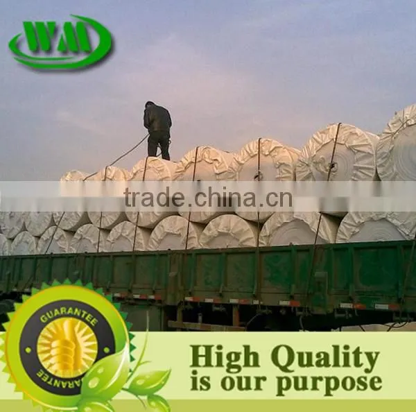 PP Woven Fabric, PP Woven Fabric Roll,PP Woven Fabric in Roll