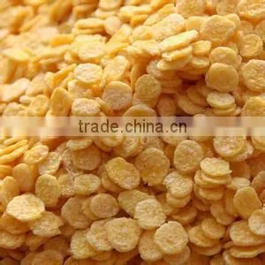 CY Corn snack food production machine