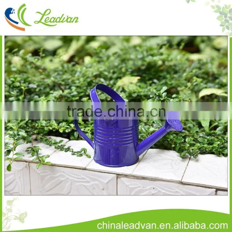 Colorful galvanized antique garden decorative small metal watering can made in china
